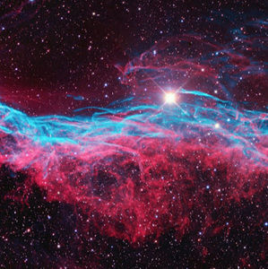 Meet your Posher, Maya